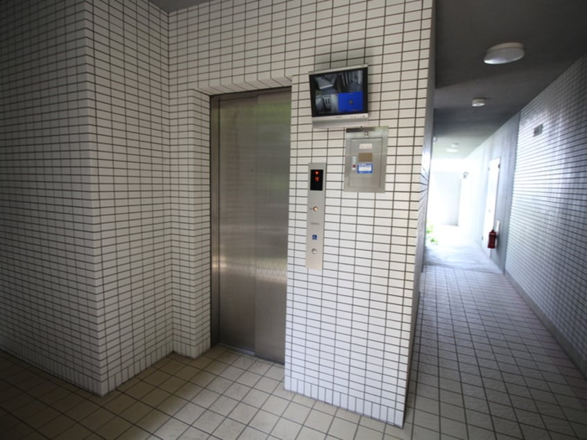 その他 サクシ－ド胤