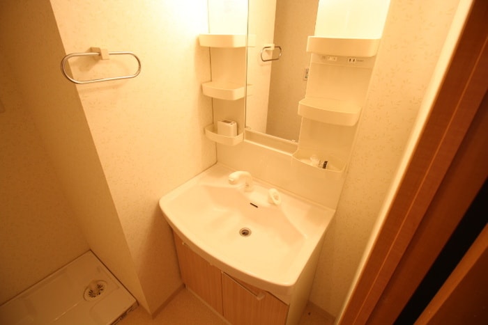 洗面 サクシ－ド胤