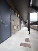 エントランス部分 ピュアステ－ジ