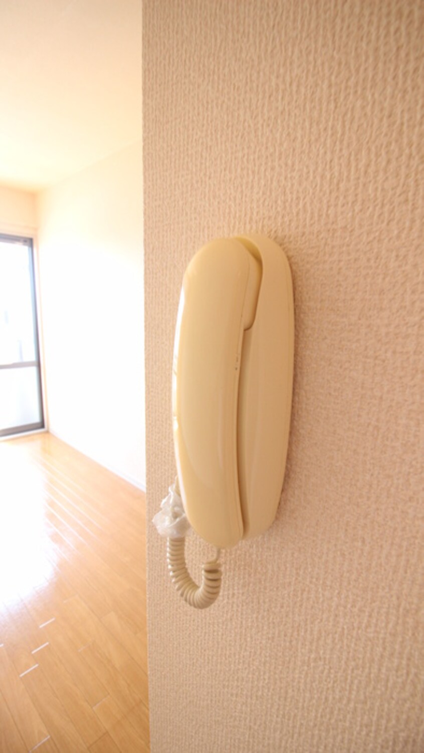 内観写真 ピュアステ－ジ