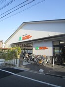 エムジー鞍馬口店(スーパー)まで250m ダスハウゼＹＯＳＨＩＤＡ