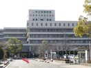 市立貝塚病院(病院)まで400m パレスコート