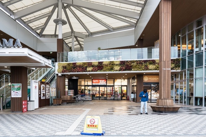 トーホーストア(スーパー)まで900m シャトリエ