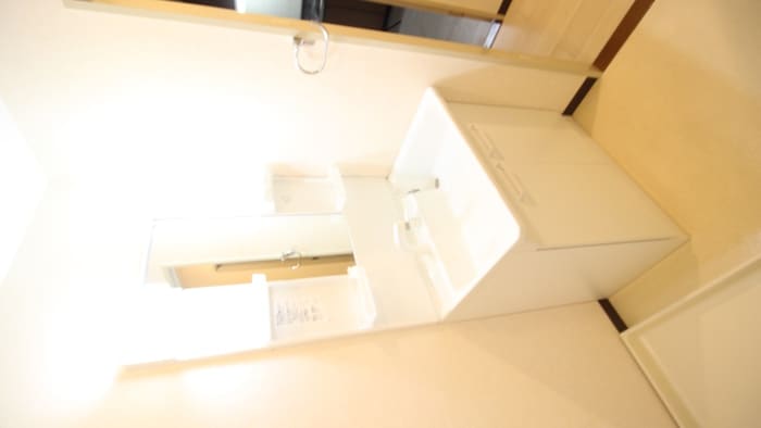 洗面 新栄プロパティー林