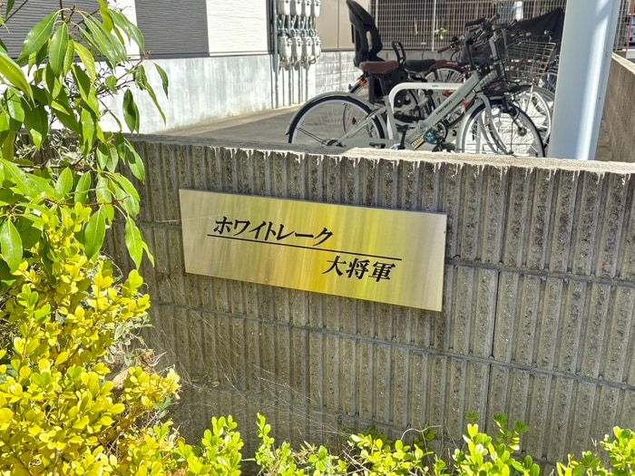 その他 ホワイトレーク大将軍