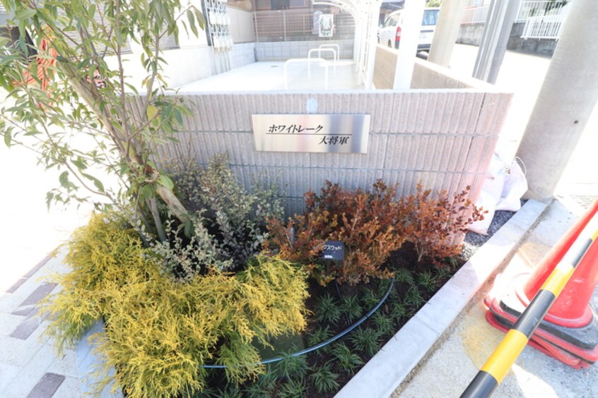 その他 ホワイトレーク大将軍