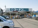 コーナン(電気量販店/ホームセンター)まで1000m ロイヤル長吉