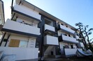 フォレストシティ－３７の外観