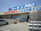 コーナンＰＲＯ堺三宝店(電気量販店/ホームセンター)まで280m セブンロード