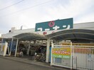 コーナン(電気量販店/ホームセンター)まで450m シャト－アスティナ京橋Ａlto