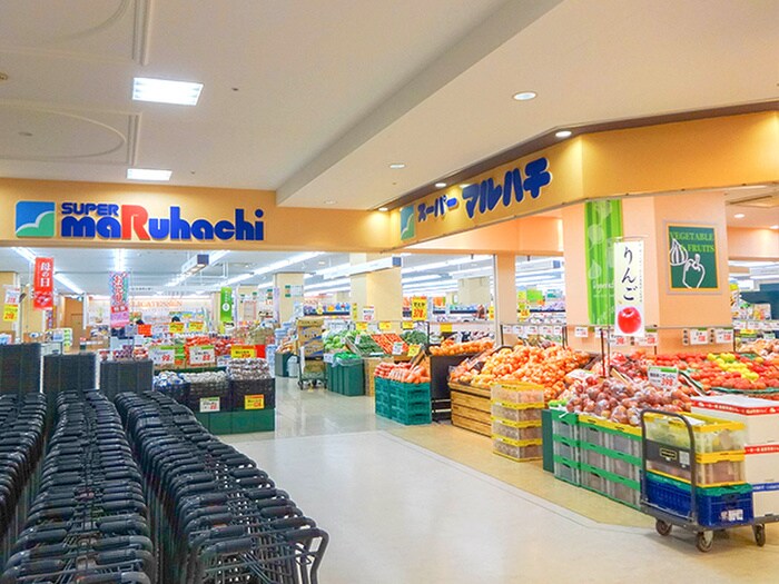 マルハチ(スーパー)まで900m ハイツ樽屋町