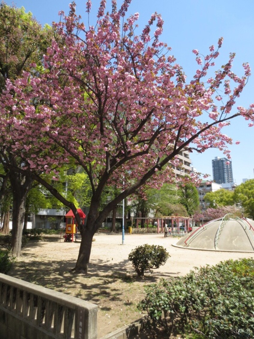 南堀江公園(公園)まで220m トモ南堀江