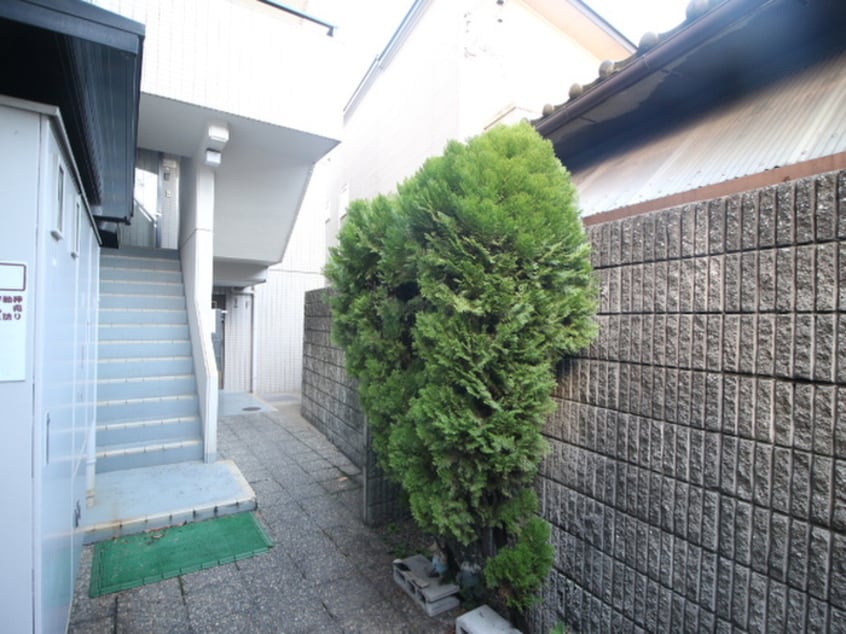 エントランス部分 パレ 21