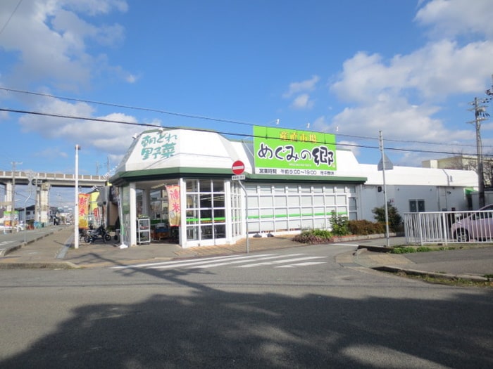 めぐみの郷枝吉店(ディスカウントショップ)まで750m グレ－ス弐番館