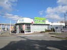 めぐみの郷枝吉店(ディスカウントショップ)まで750m グレ－ス弐番館
