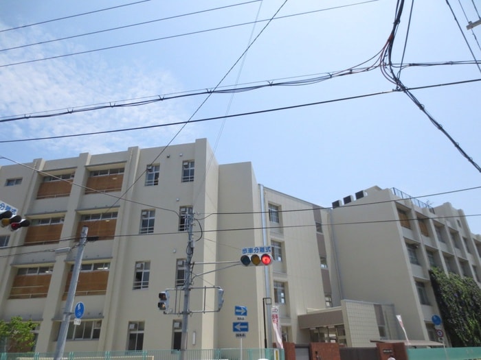 歌島小学校(小学校)まで300m 歌島ハイツ