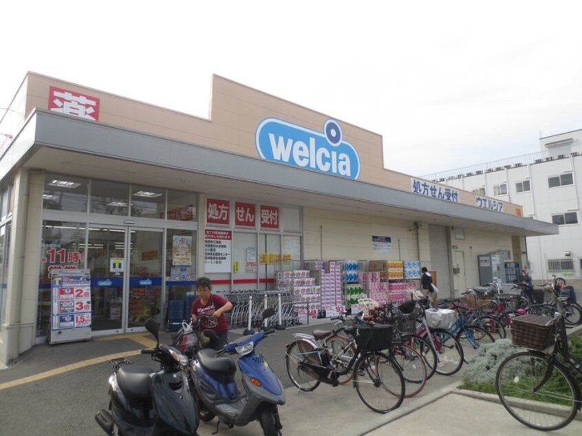 大庄ウエルシア(ドラッグストア)まで1100m Ｇｒａｎｄ　Ｆｏｒｅｓｔａ　Ｎ