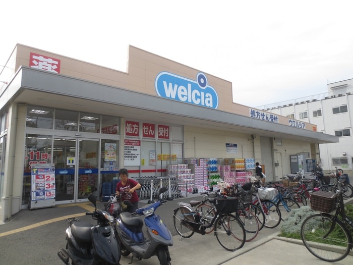 大庄ウエルシア(ドラッグストア)まで1100m Ｇｒａｎｄ　Ｆｏｒｅｓｔａ　Ｎ