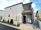 金絲雀の外観