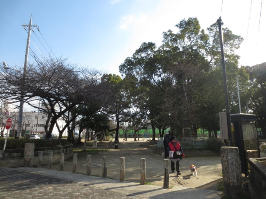 大枝公園(公園)まで891m 高橋マンション