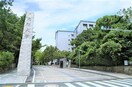 大阪大学豊中キャンパス(大学/短大/専門学校)まで1000m ドｩエルリングハウス刀根山