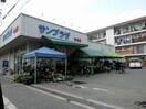 サンプラザ 布施店(スーパー)まで489m ラフィーネ　クローバーⅡ