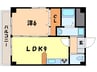 ル・ソレイユ 1LDKの間取り