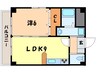 ル・ソレイユ 1LDKの間取り