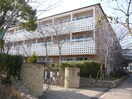 宮川小学校(小学校)まで190m プリマベーラ芦屋