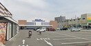 サンディ(スーパー)まで1100m アスタナ泉大津