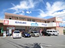 ウエルシア　岡店(ドラッグストア)まで270m グリーンハイツ松原