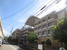 茨田小学校(小学校)まで750m シェソワ鶴見緑地