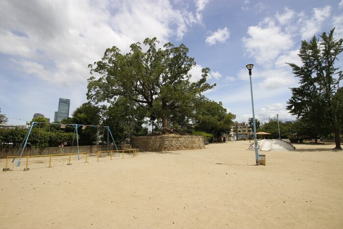 聖天山公園(公園)まで120m 大新ハイツ