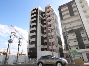 GLORYKISERA(ｸﾞﾛｰﾘｰｷｾﾗ)
