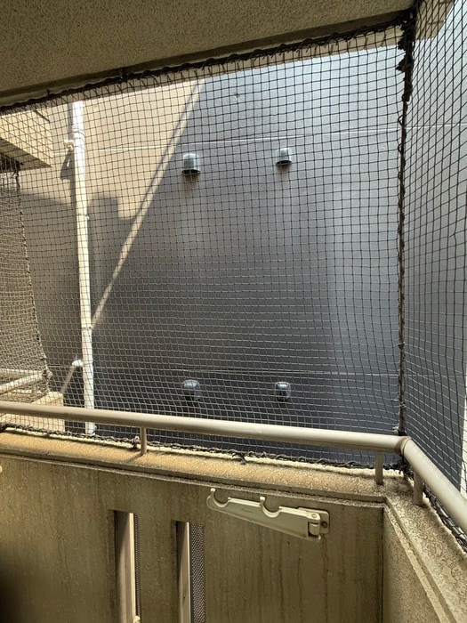 室内からの展望 ドムスコンタアト