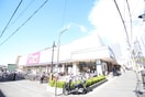 トップワールド(スーパー)まで736m プレジール