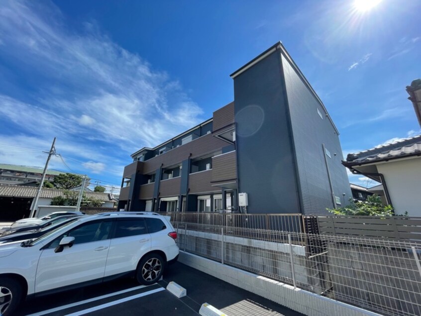 その他 Sunbloom Neo