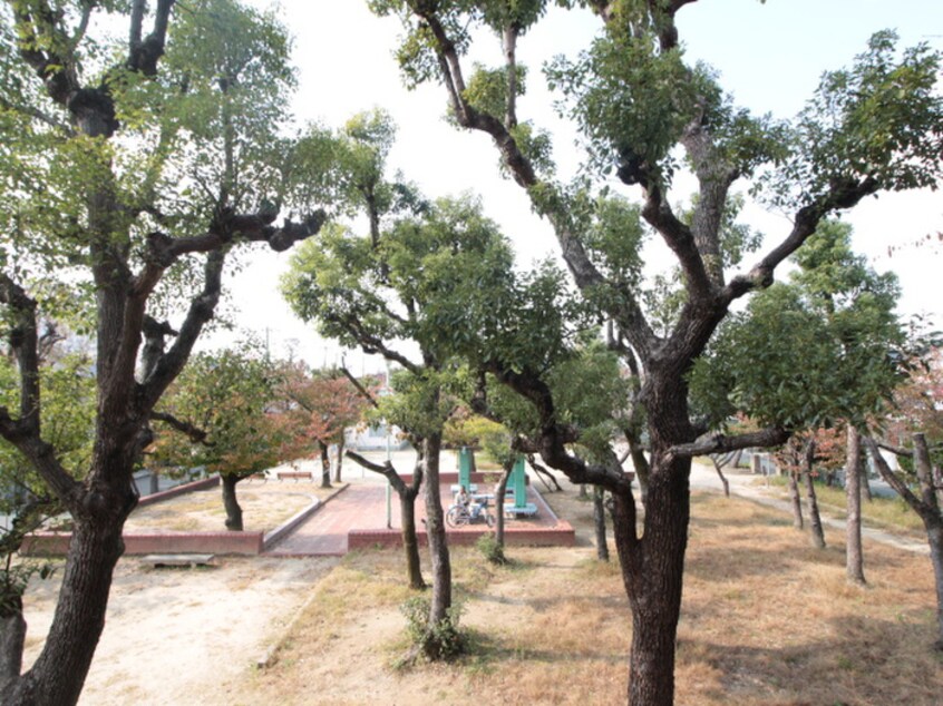 室内からの展望 ﾄﾞｴﾙ小松SOUTH