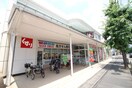 スギドラッグ　常盤店(ドラッグストア)まで700m 扇山 (SENZAN)