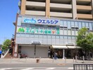 ウエルシア河内花園駅前店(ドラッグストア)まで400m 森田様平屋