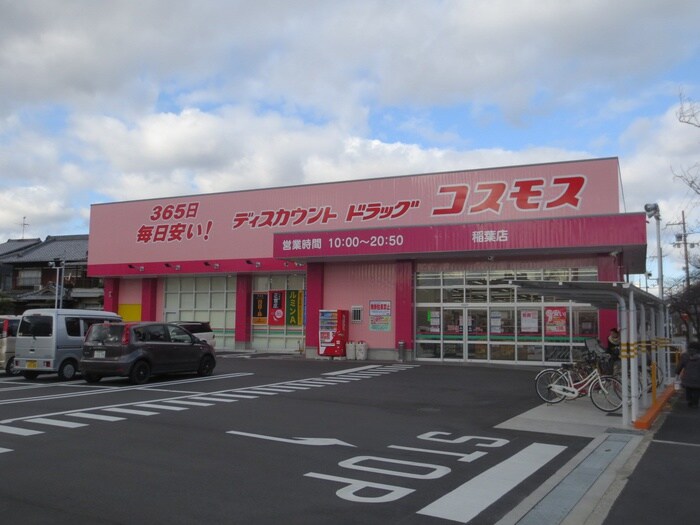 ドラッグコスモス　稲葉店(ドラッグストア)まで600m 森田様平屋