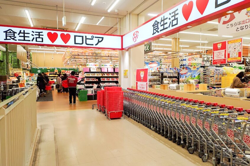 ロピア(スーパー)まで850m ボシュケ鷹取