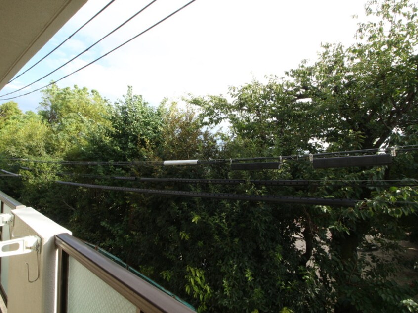 室内からの展望 メゾン楓