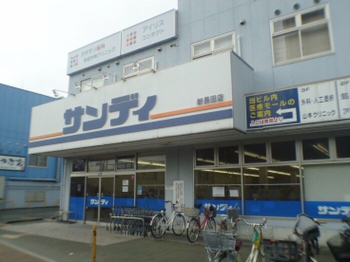 サンティ新長田店(スーパー)まで290m ロイヤル三ツ星Ⅲ