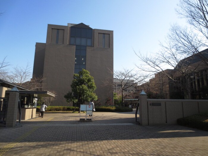 私立大阪歯科大学(大学/短大/専門学校)まで333m プラリア楠葉並木