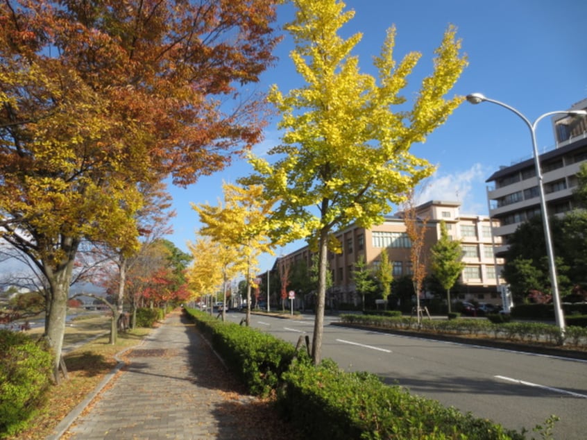 鴨川沿い(公園)まで250m ラトゥ－ル牧眞Ⅰ