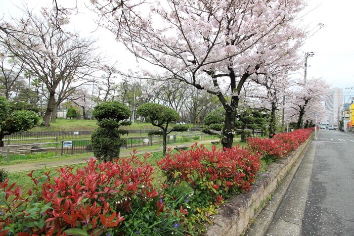 大浜公園(公園)まで2500m ニュー松屋マンション