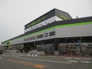 ホームセンター(電気量販店/ホームセンター)まで810m ジョイフル南町