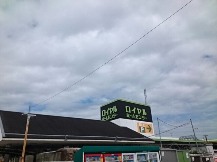 ロイヤルホームセンター(電気量販店/ホームセンター)まで1380m リフレ東百舌鳥Ａ棟