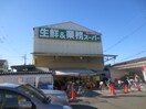 業務スーパー(ディスカウントショップ)まで300m アルカディア江坂